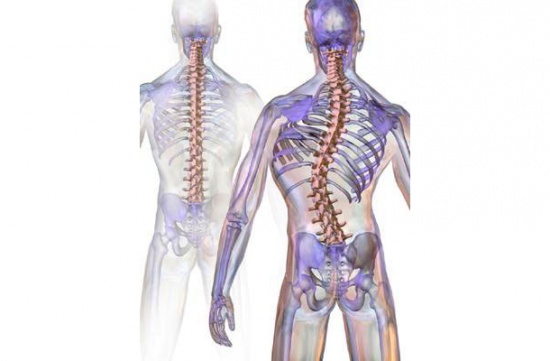 Osteopatia e Scoliosi